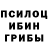 Псилоцибиновые грибы мицелий anuar Merino