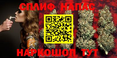 молекула духа Гай