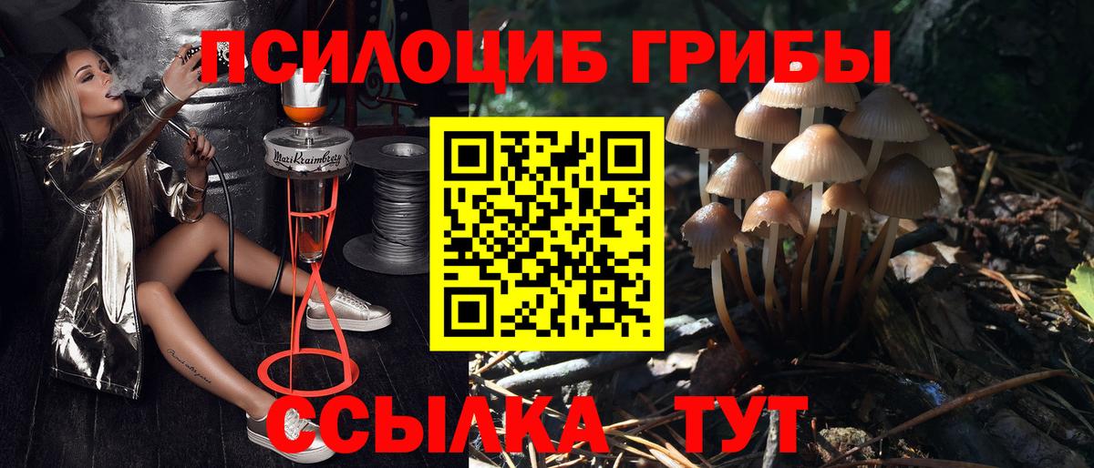 Галлюциногенные грибы Psilocybe  Псилоцибиновые грибы мухоморы  Краснотурьинск  Вход с VPN 
